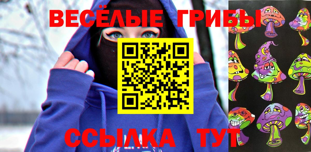 Псилоцибиновые грибы Cubensis  Вход с VPN  Кисловодск  Галлюциногенные грибы Psilocybine cubensis 